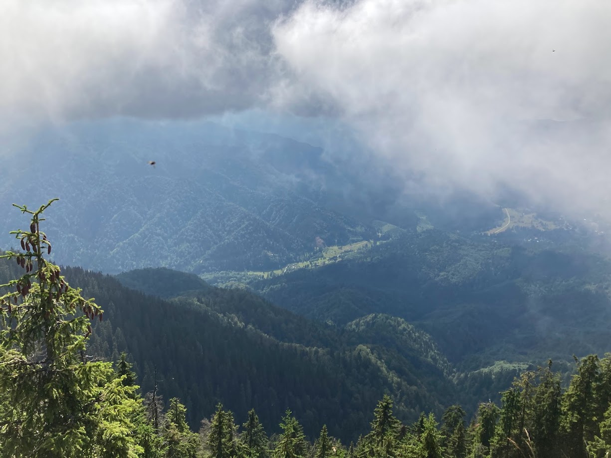 Dsicover Poiana Brasov – the best view in the middle of mighty mountains